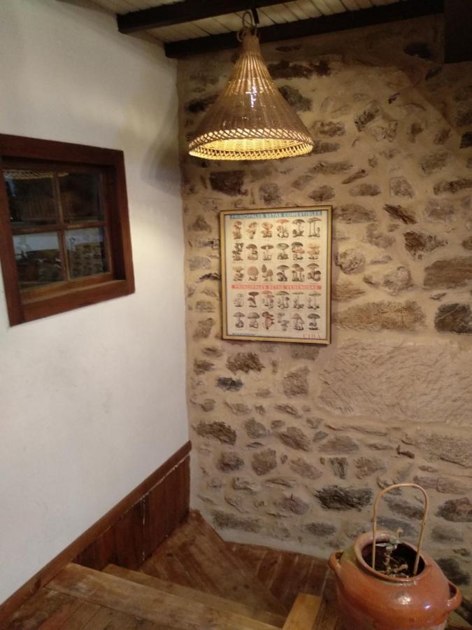 Casa Ribeira Sacra, Ourense, Ninodaguia, Galicia Экстерьер фото
